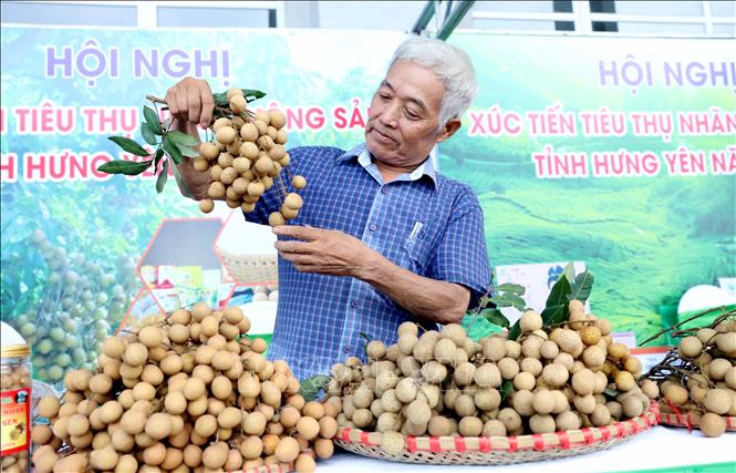 Tình hình kinh tế - xã hội tỉnh Hưng Yên tháng tám và tám tháng đầu năm 2025