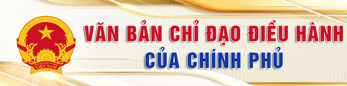 https://vanban.chinhphu.vn/